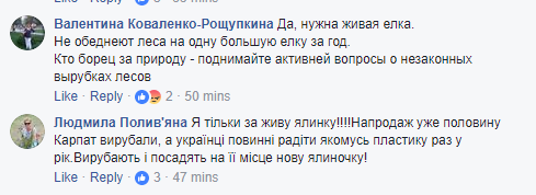 Между жителями Киева разгорелся спор из-за новогодней елки на Софийской площади